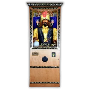 Zoltar Fortune Teller – Standard Version